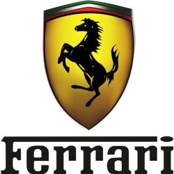 Bavlněné tričko s potiskem Ferrari